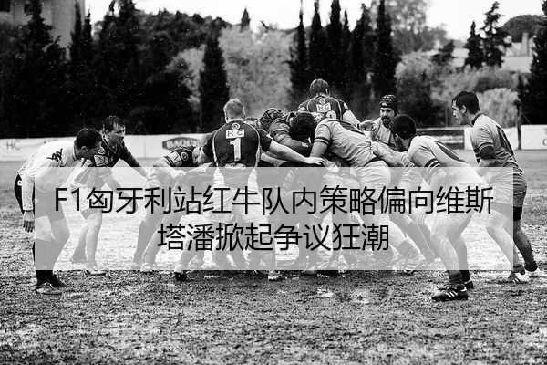 xiong-ya-li-zhan-hong-niu-dui-nei-ce-lve-pian-xiang-wei-si-ta-pan-xian-qi-zheng-yi-kuang-chao-2-424.jpg
