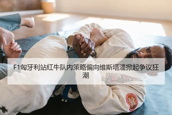 F1匈牙利站红牛队内策略偏向维斯塔潘掀起争议狂潮